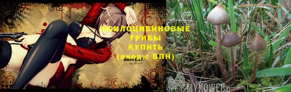 меф Горнозаводск