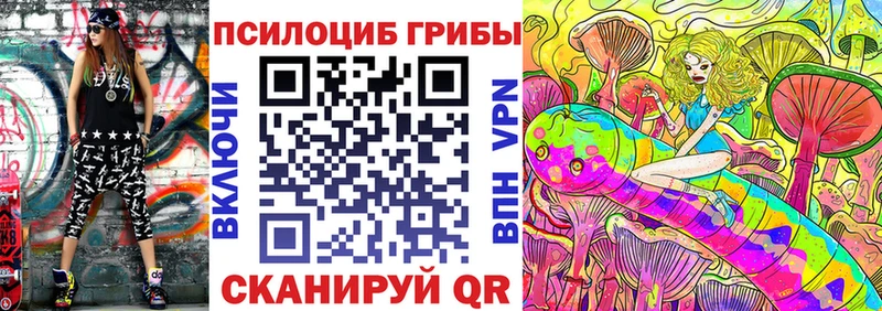 Купить где  Лиски  Псилоцибиновые грибы Psilocybine cubensis 